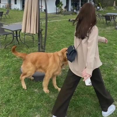 替身