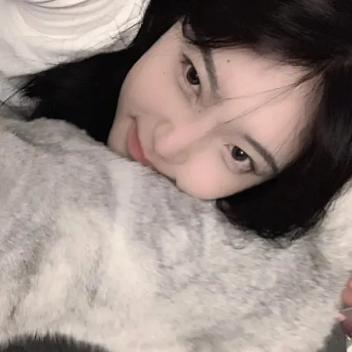 格里芬与菲尼克斯